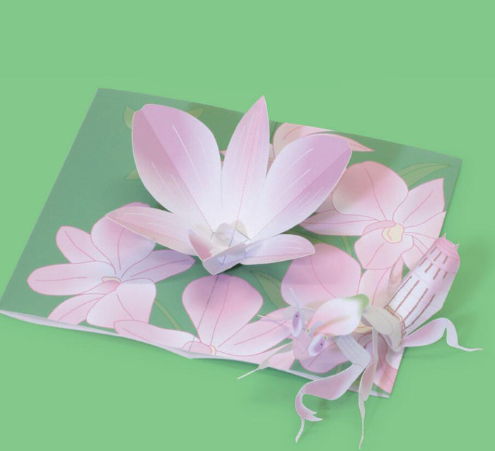 儿童手工折纸DIY拼装立体纸质模型玩具制作仿真植物昆虫兰花螳螂