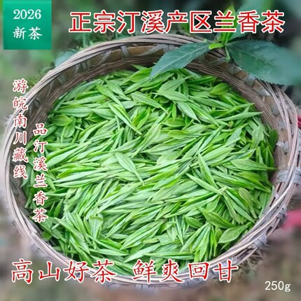 泾县兰香2026新茶汀溪大南坑村茶兰香茶正宗农家泾县高山茶选包邮