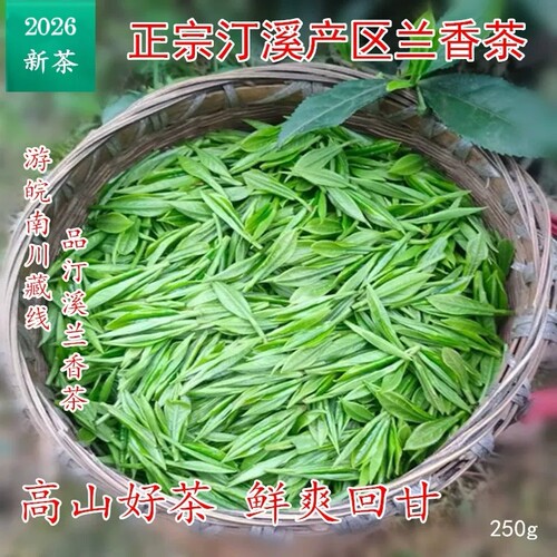 泾县兰香2026新茶汀溪大南坑村茶兰香茶正宗农家泾县高山茶选包邮