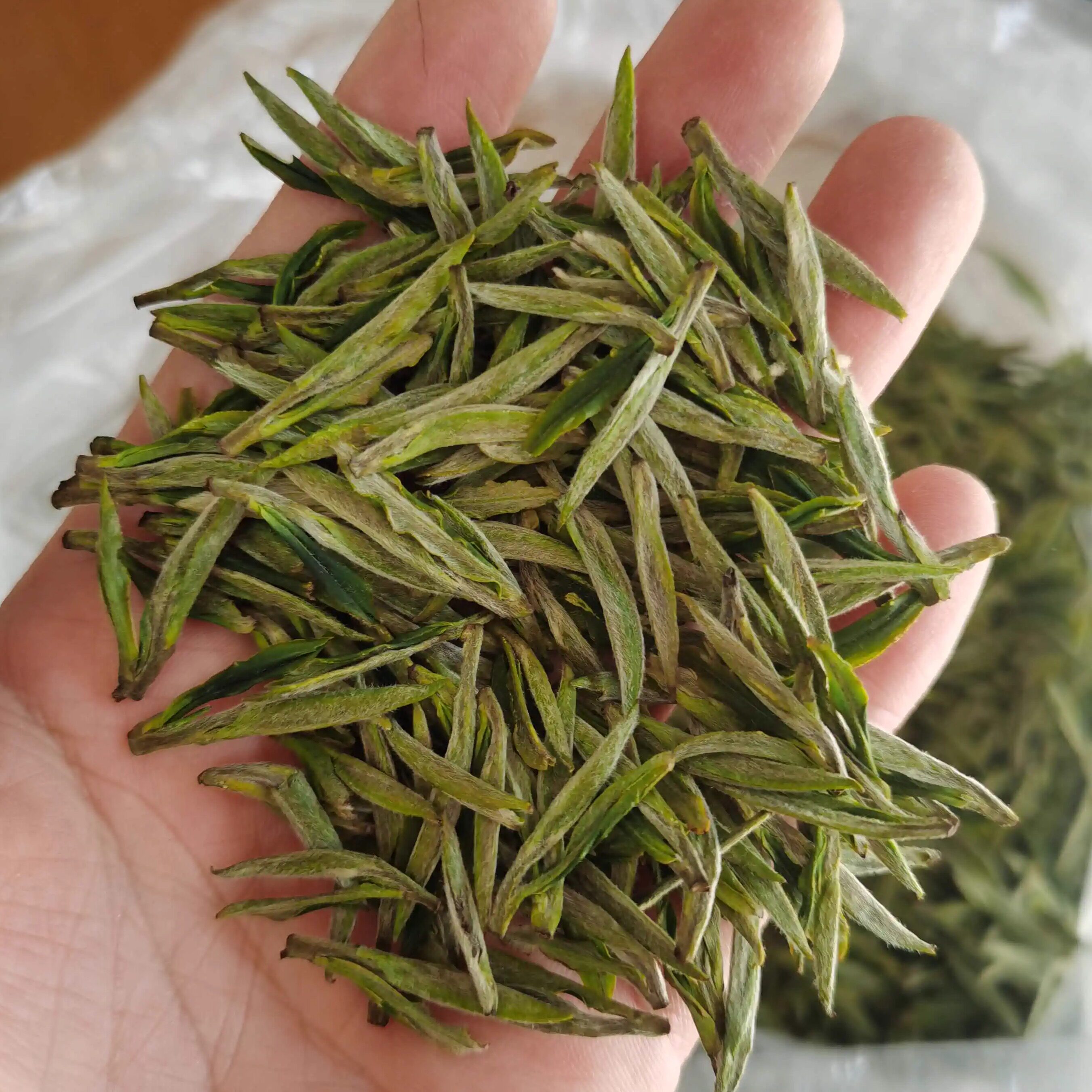 2024新茶安徽宣城泾县汀溪兰香高山茶叶开园茶老品种兰香茶250克