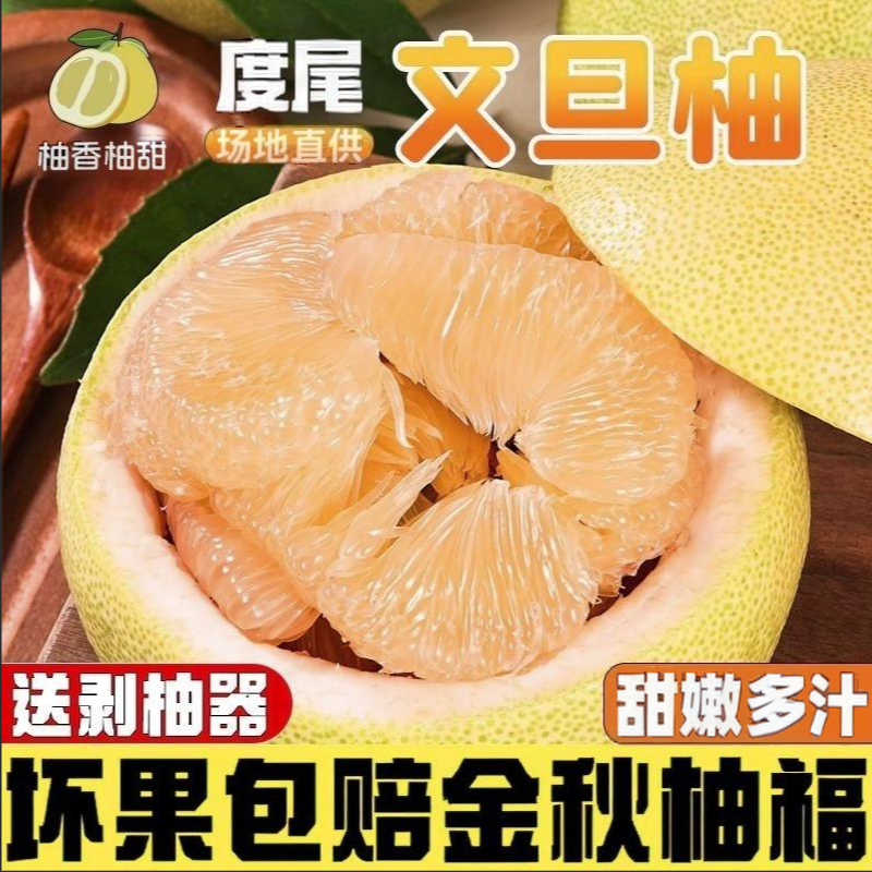 福建仙游度尾文旦柚清甜多汁