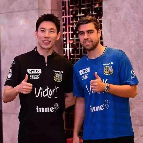 TIBHAR挺拔欧冠乒乓球短袖男女款