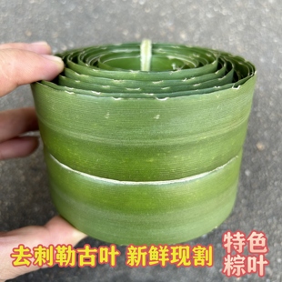 露兜叶假菠萝叶勒古叶包粽子叶软叶新鲜现采去刺阳春特色交古叶