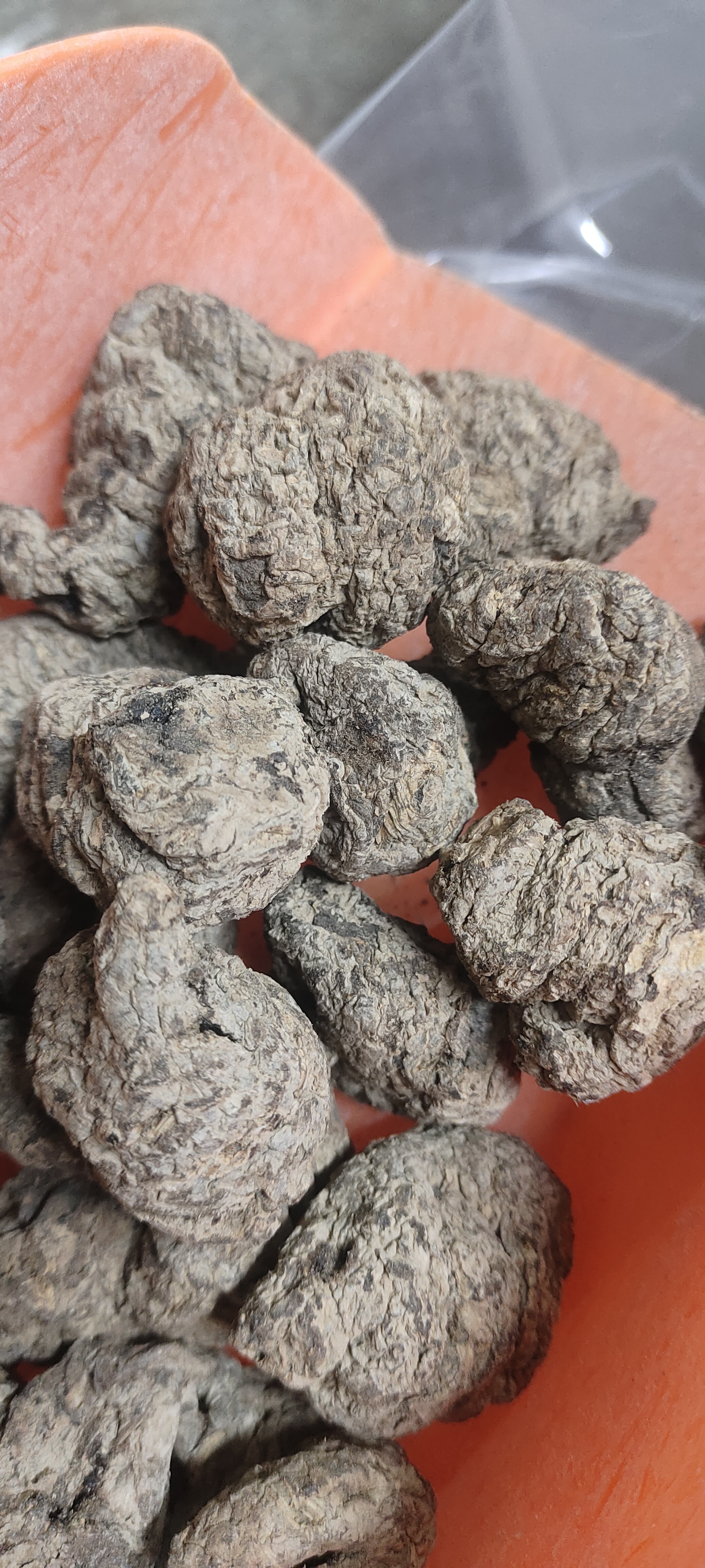 生地黄生地黄片生地黄粉生地黄茶生地黄根生地黄中药材