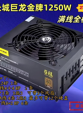 满线Great Wall长城巨龙1250w电竞电源全模组服务器1000w金牌双路