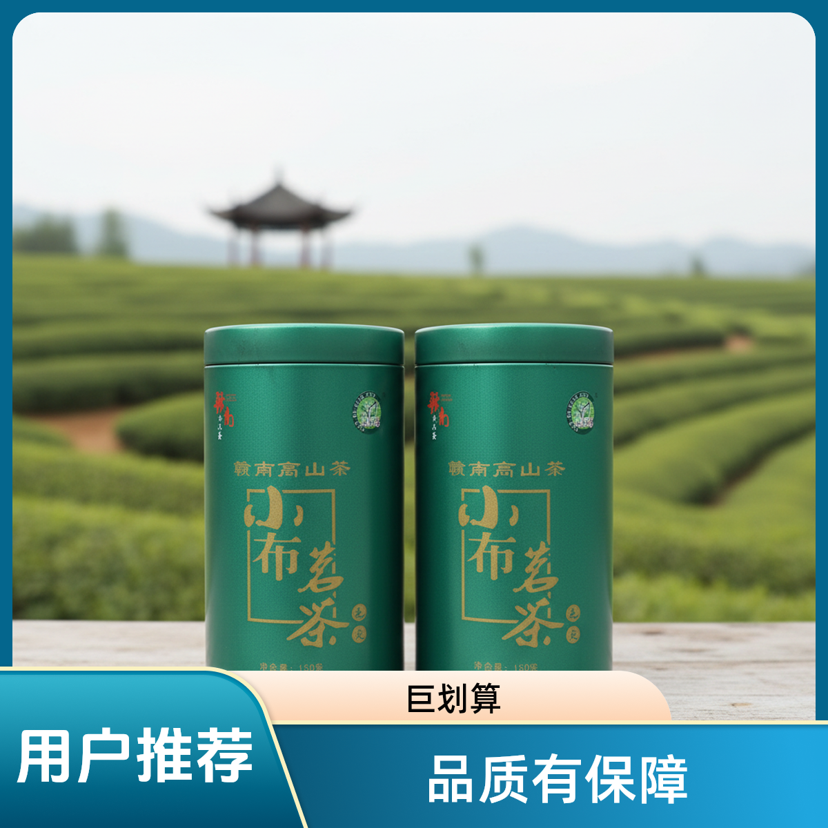 江西名牌小布茗毛尖绿茶办公口粮茶接待茶250克