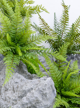 景观园林假植物铺面遮挡仿真树皮