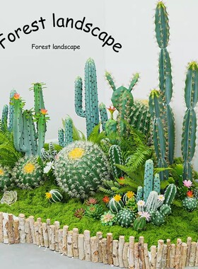 仿真植物假绿植楼梯下造景仙人掌