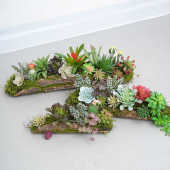 仿真多肉植物盆栽装 饰绿植花艺 饰苔藓摆放仿生植物花园橱窗布景装