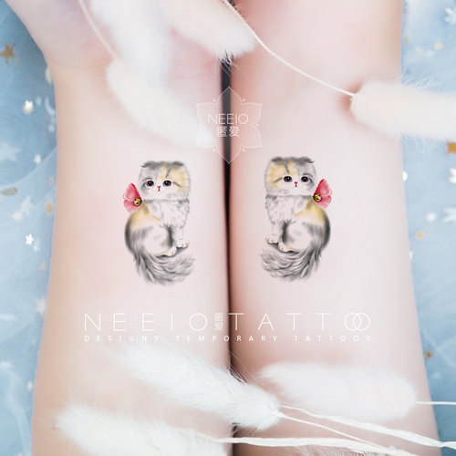 neeio纹身贴 苏格兰折耳猫 超萌手绘彩色小猫咪情侣手臂 防水女