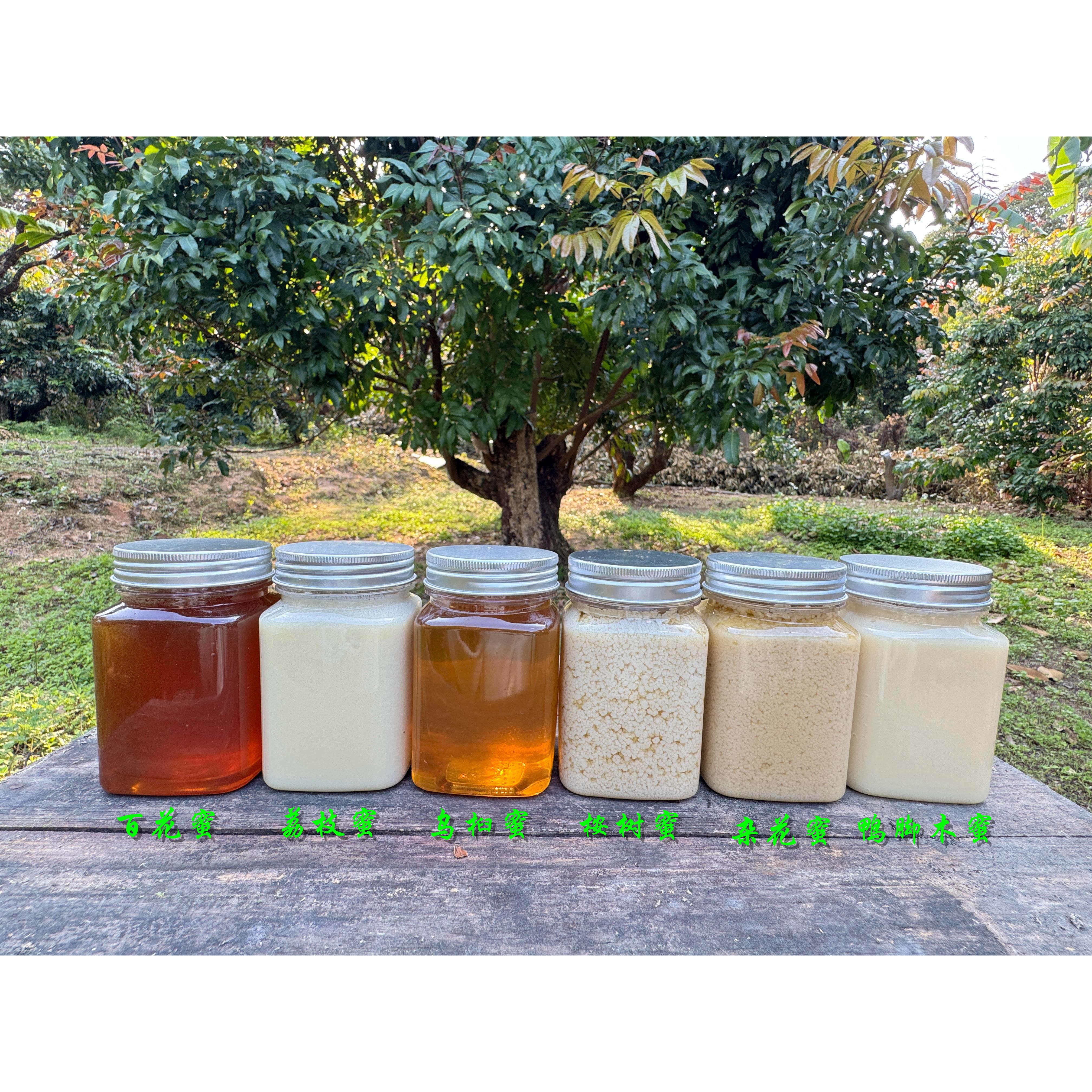 蜂蜜实惠组合装：百花蜜＋荔枝蜜+乌桕蜜+桉树蜜+杂花蜜+鸭脚木蜜