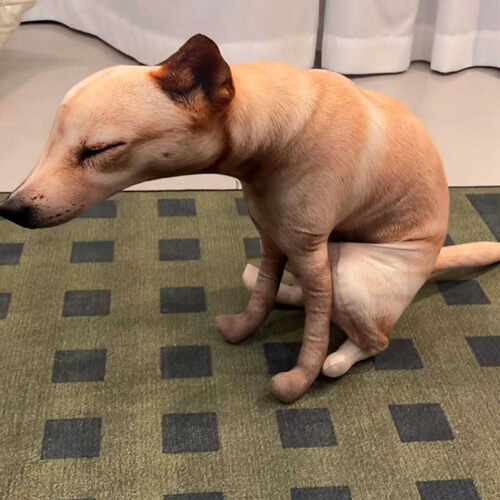 新品萌趣狗子嗯嗯造型毛绒抱枕｜