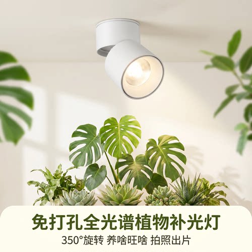 物光免打孔吸顶全光谱植物补光灯