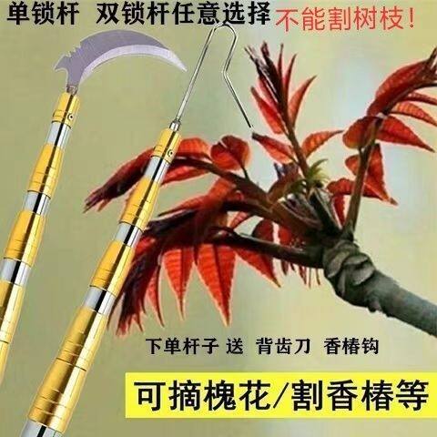 香椿钩不锈钢伸缩杆摘槐