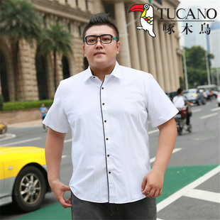 啄木鸟加大加肥男装 宽松胖子大号半袖 短袖 夏季 衬衣黑白色 衬衫 正品