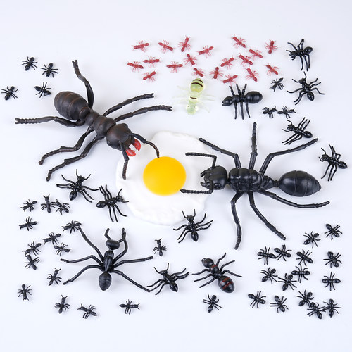 模型塑胶昆虫道具仿真动物