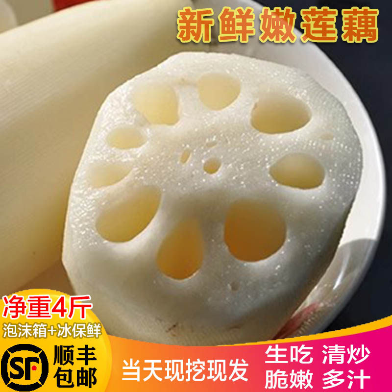 顺丰空运洪湖嫩莲藕4斤清甜产地