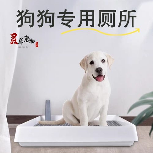 定点如厕防踩屎狗狗厕所