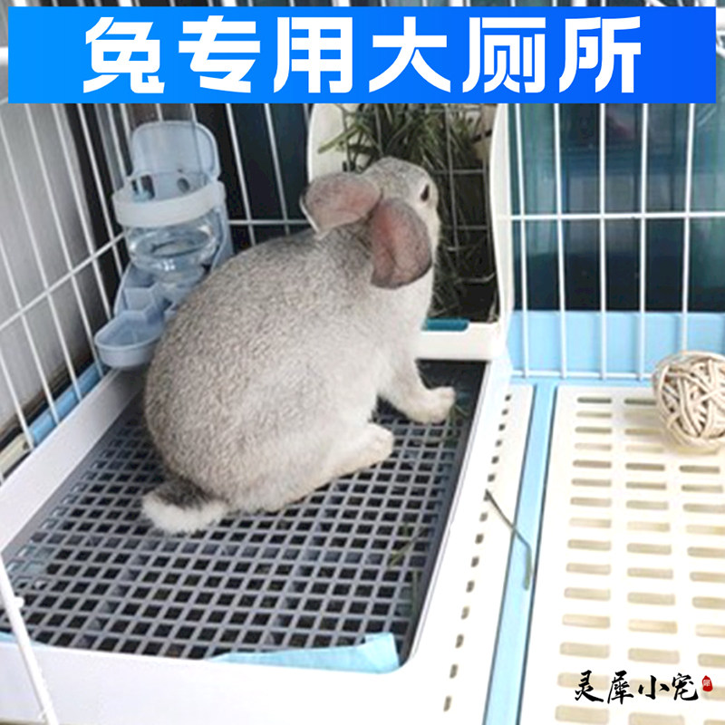 【超好用】小宠厕所舒适如厕图片
