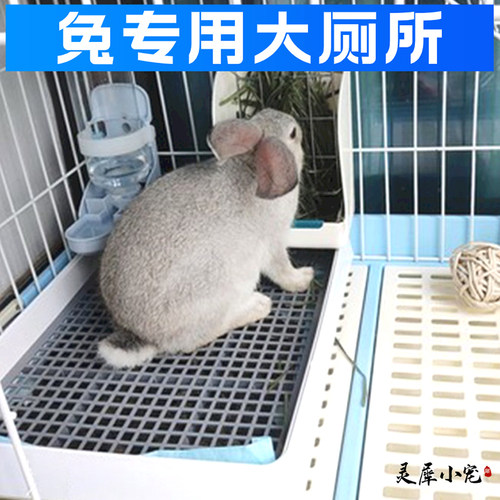 【超好用】小宠厕所舒适如厕