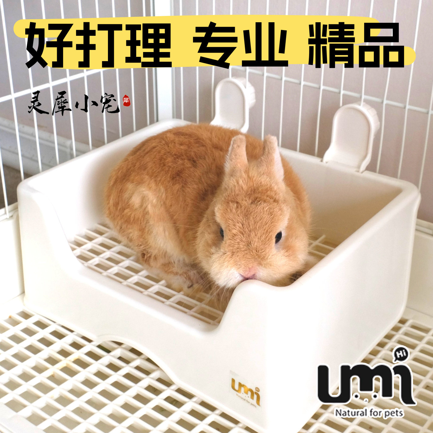 umi兔子厕所大号兔兔龙猫防喷尿托盘式荷兰猪宠物专用用品,宠物/宠物食品及用品,兔兔厕所,淘宝优惠券,粉丝福利购,淘宝优惠卷