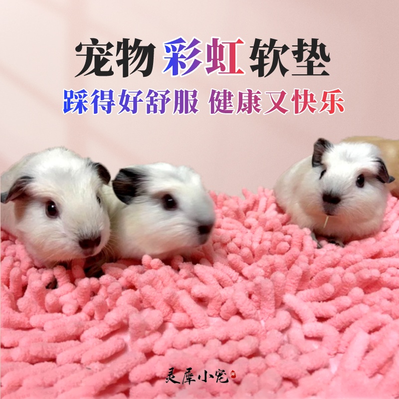 软绒绒小宠垫子|2件9折3件8折