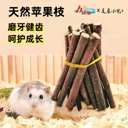 干净无污染磨牙苹果枝