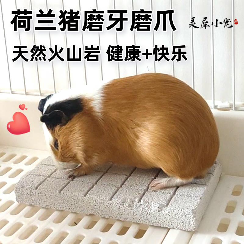 荷兰猪磨牙石豚鼠玩具解闷兔子仓鼠用品火山岩啃咬天竺鼠磨甲板