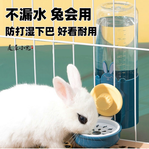 不漏水防湿下巴自动喂水+喂食器