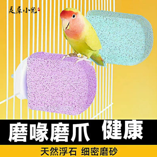 品质实惠耐用美观鹦鹉站台