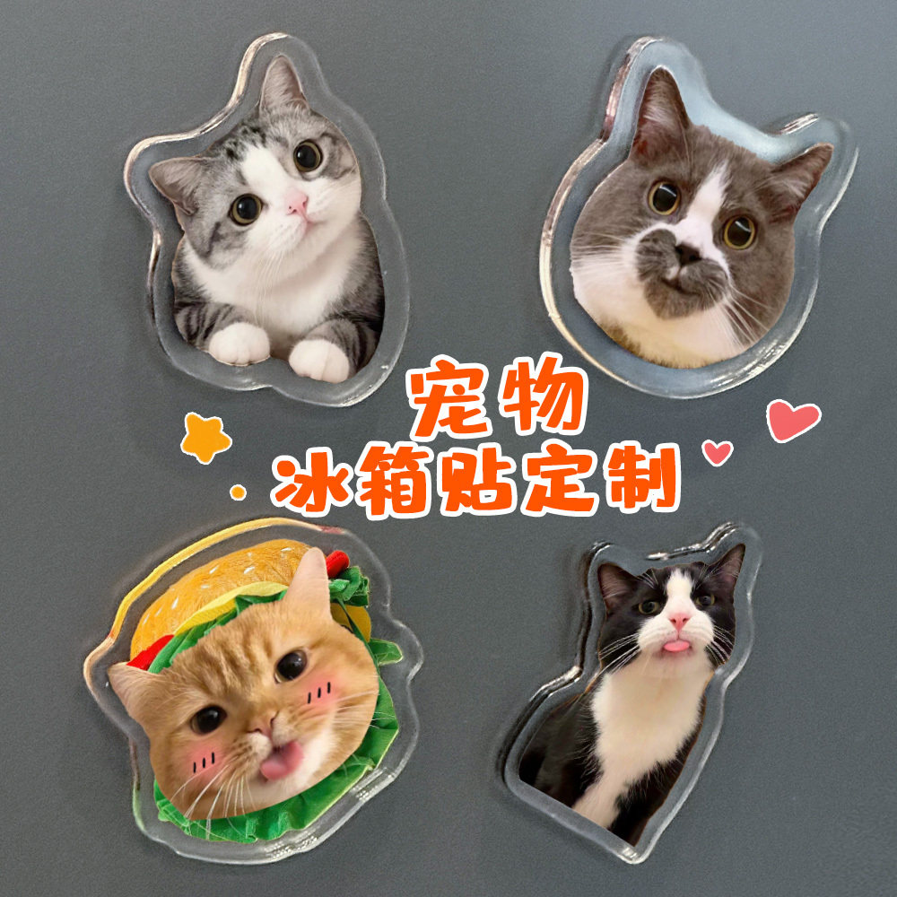 亚克力冰箱贴小猫咪照片定制磁吸宠物狗狗高级感治愈系磁铁贴定做