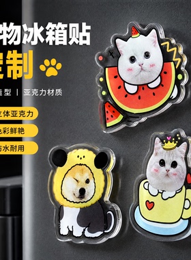 宠物冰箱贴定制猫咪狗狗照片亚克力磁吸创意个性diy来图定做异性