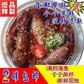 麻辣带籽乌海兔八爪鱼新海鲜活笔管香鱿鱼腌制水产网红零熟即食用