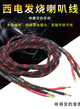 AUDIOSOST声弦古董西电喇叭线鸡骨音箱西电线音响功放胆机连接线