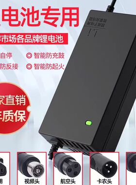 锂电池电动车充电器24v36v48v60v72v2A滑板车哈雷代驾车平衡车