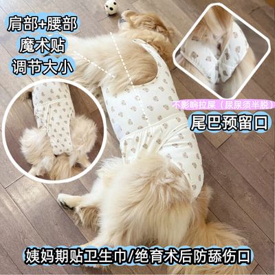 中大型母犬经期生理裤绝育术后服