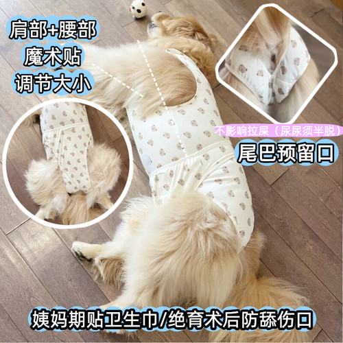 中大型母犬经期生理裤绝育术后服