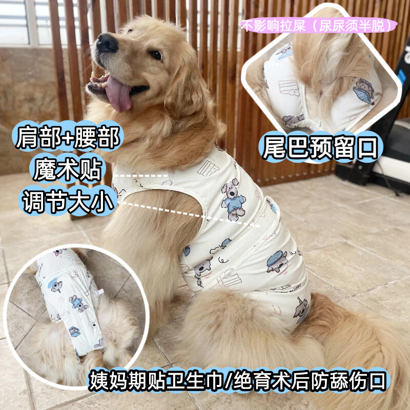 大狗姨妈裤月经裤生理裤绝育服
