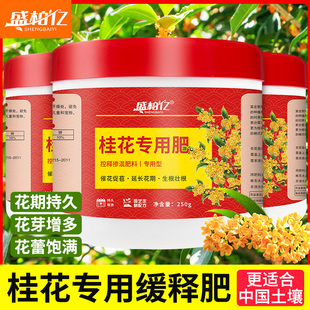 桂花专用肥家用桂花树肥料通用肥四季桂月桂金桂氮磷钾肥有机花肥
