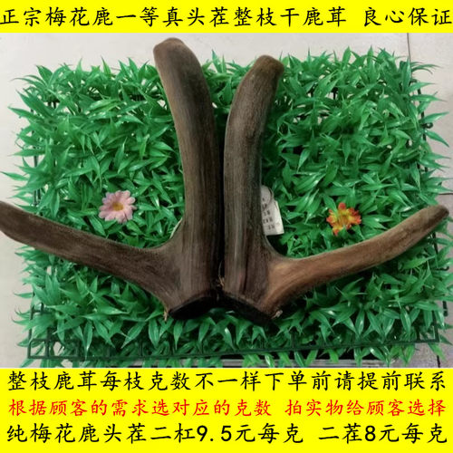 100%梅花头茬二杠整枝精品干鹿茸