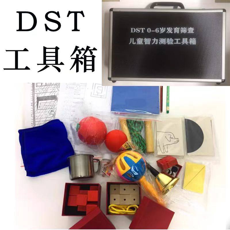 DST量表工具箱及软件系统 0~6岁儿童发育筛查测试可电脑出报告书