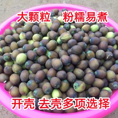 2025新鲜老莲子现摘粉糯易煮顺丰