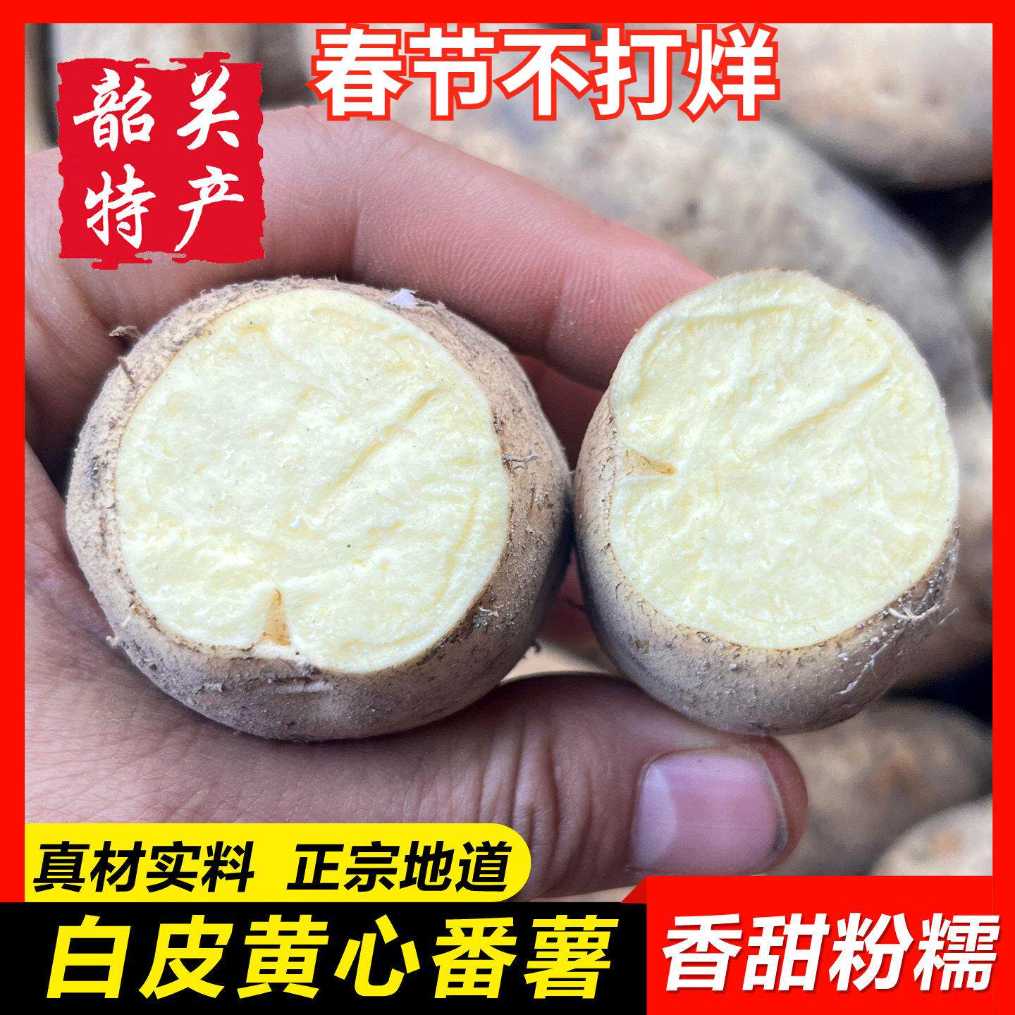 【罗坑白皮黄心番薯10斤装】粤北特产新鲜生地瓜农家红薯板栗黄薯