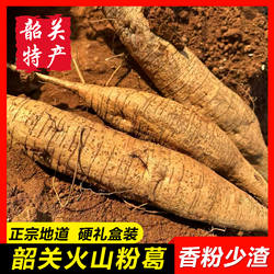 【火山粉葛10斤】韶关特产半野生葛根新鲜马藤甘葛香甜无渣礼盒装