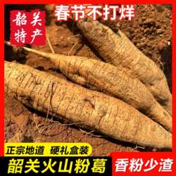 【火山粉葛10斤】韶关特产半野生葛根新鲜马藤甘葛香甜无渣礼盒装