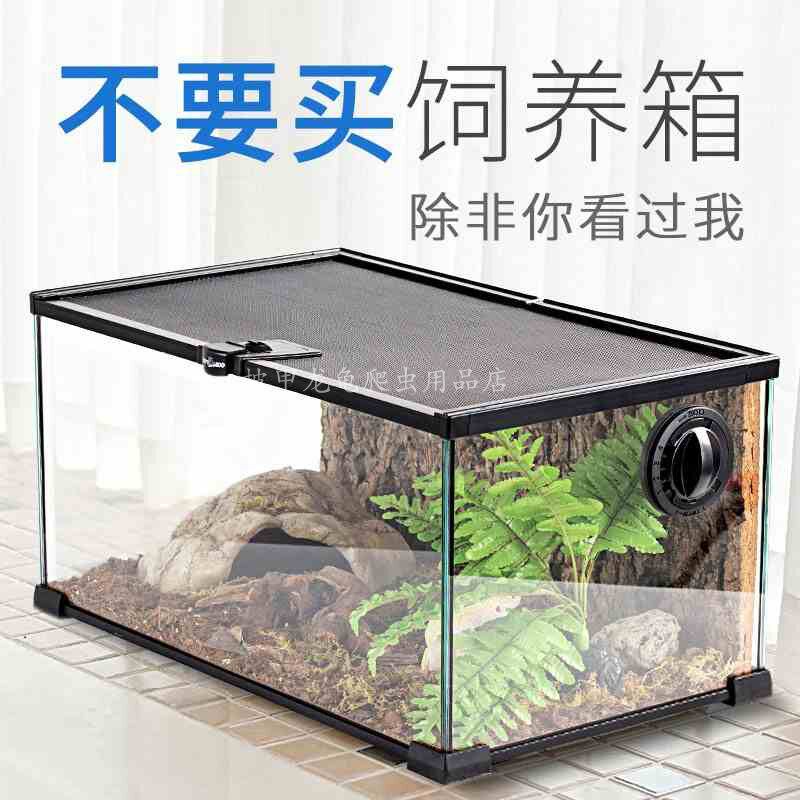 爬虫箱守宫饲养缸高透明便携