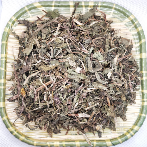 蒲公英野生婆婆丁中药材包邮