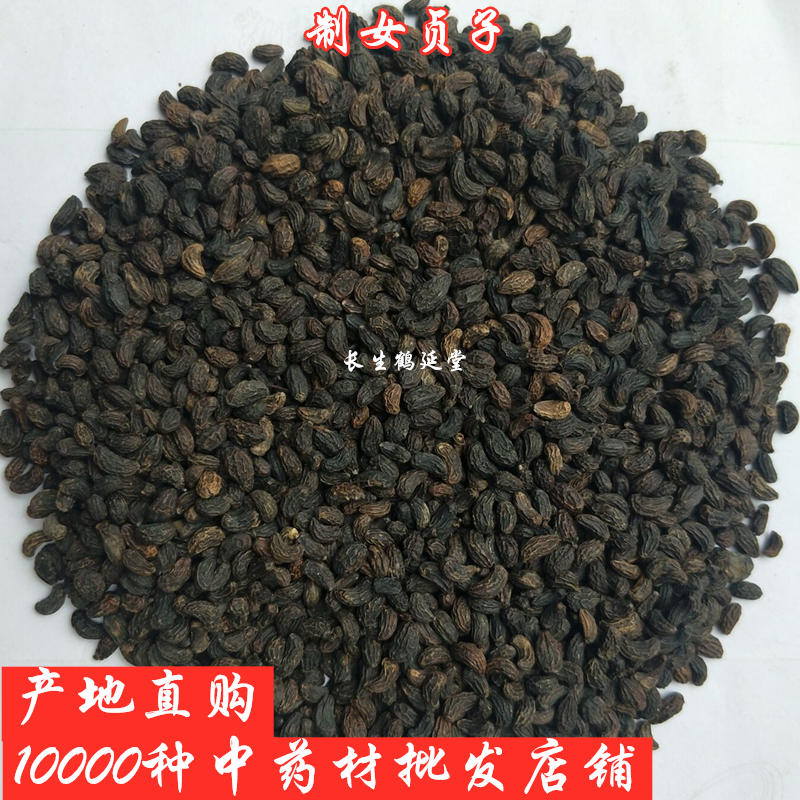 中药材酒女贞子 熟女贞子制女贞子女贞子茶 炒女贞子500克8包邮