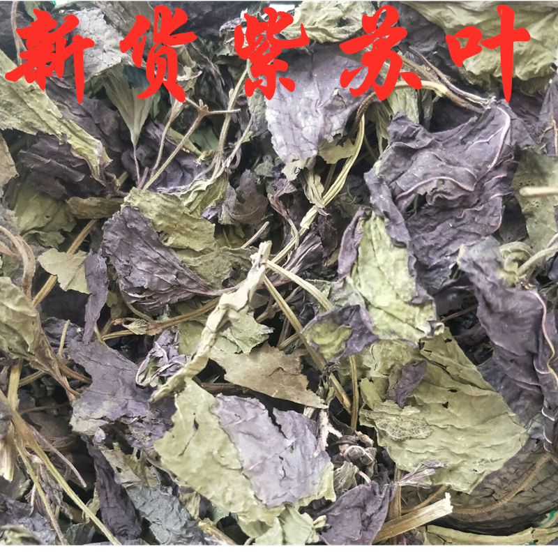 中药材紫苏叶新鲜食用正品干茶泡茶泡澡泡脚紫苏叶500克包邮