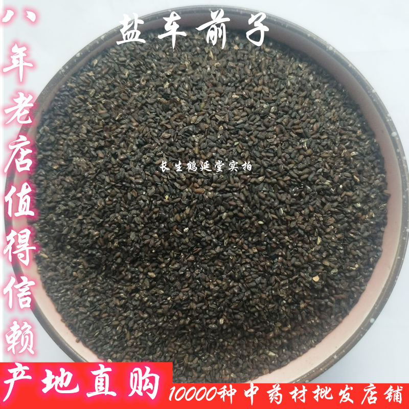 中药材盐炒车前子 炙车前子 制车前子盐车前子 500克车前草种子